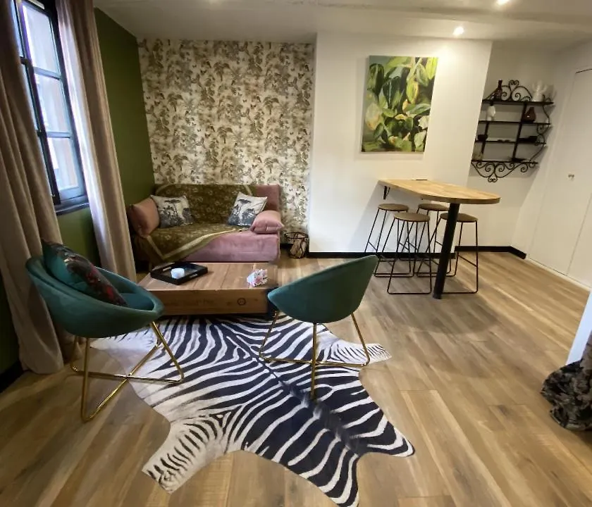 Studio De Charme Au Coeur De Vannes - 3 Pers Apartmán
